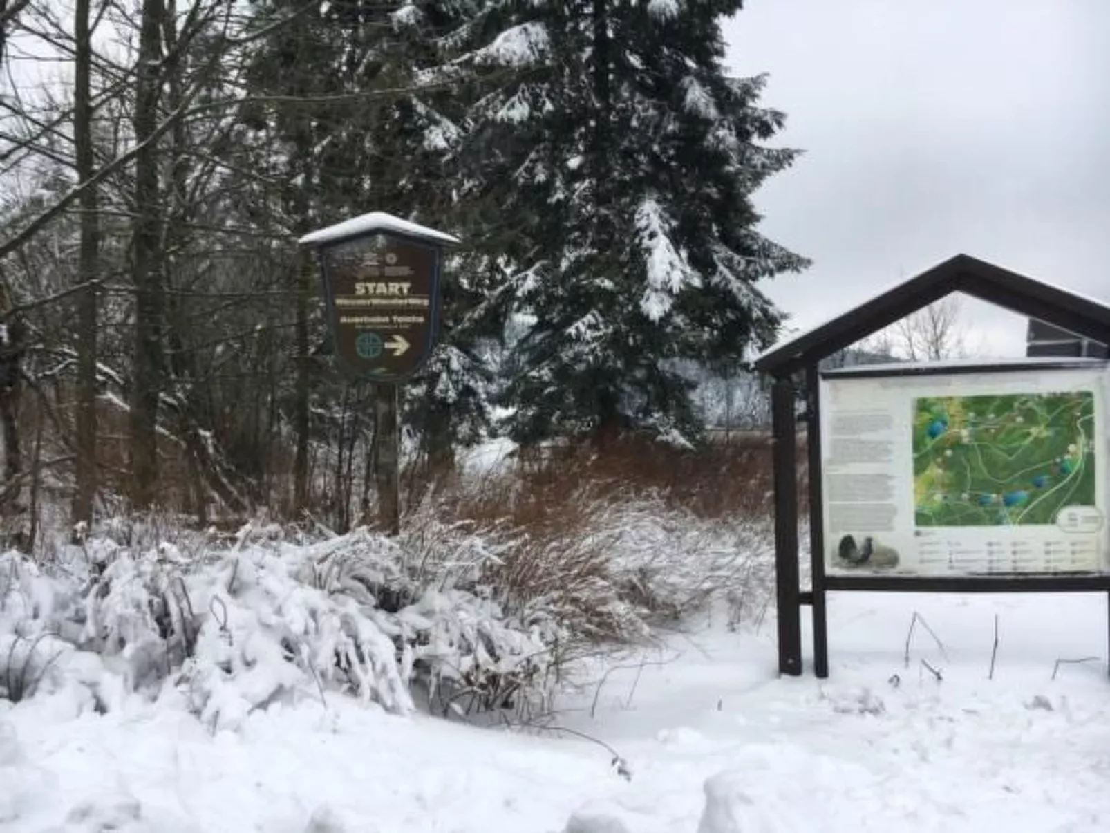 Ferienapartm. Adler-Draußen