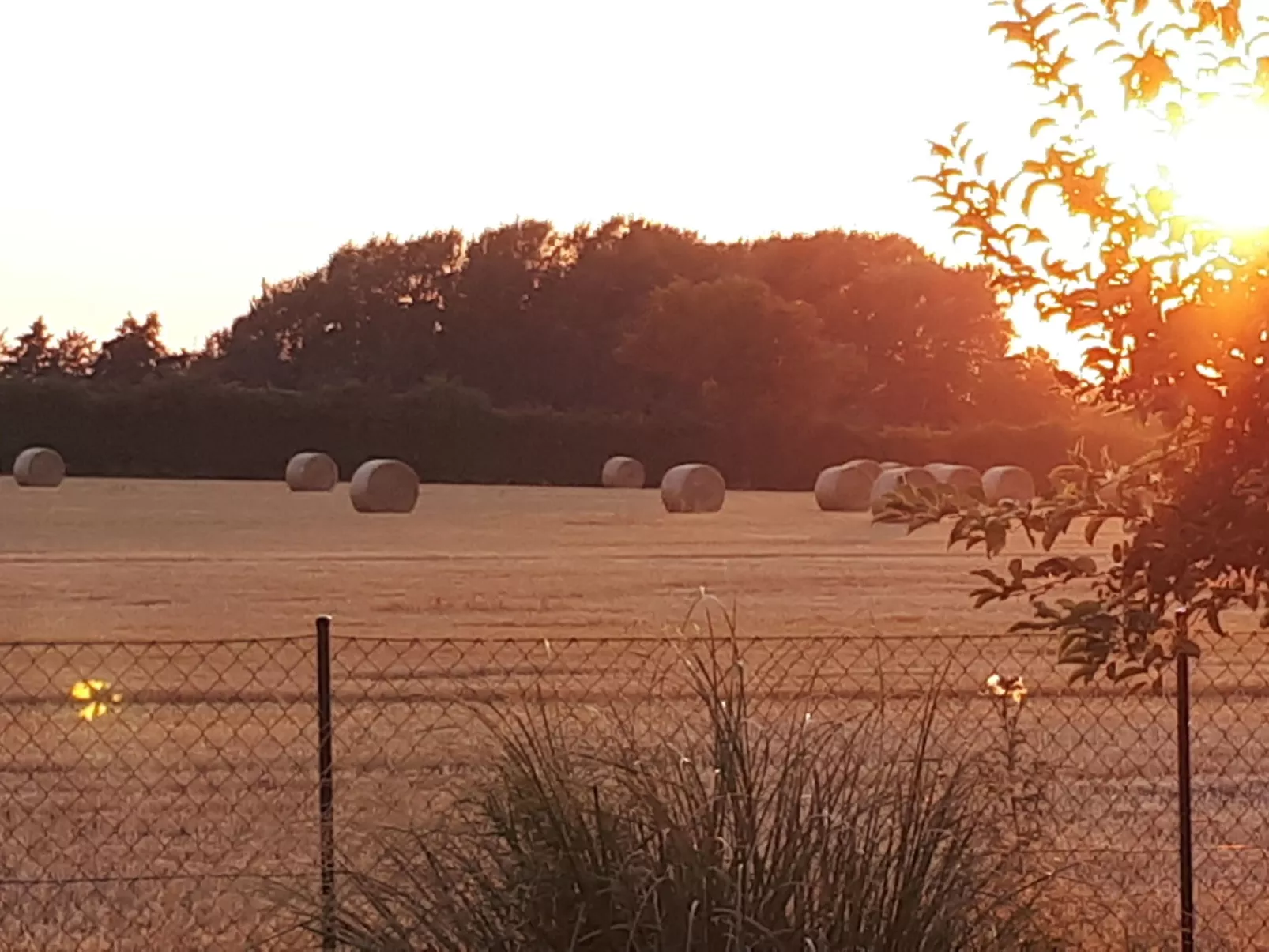 Mit Grill und Garten in Neukirchen-Draußen
