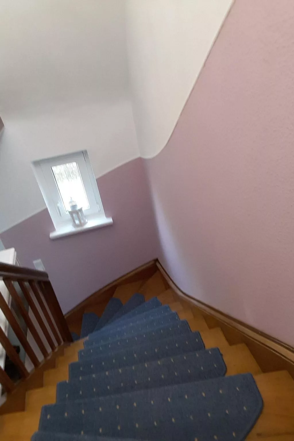 Erholung pur: Nordsee-Urlaub mit Hund-Drinnen