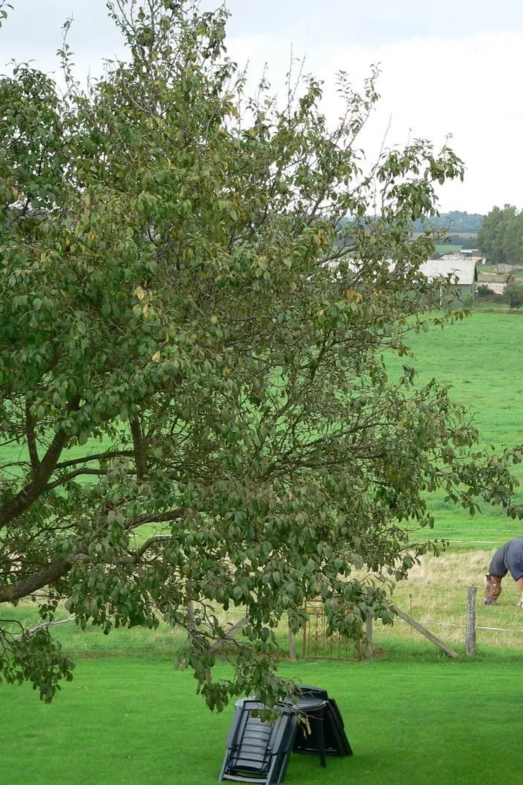 Wohnung Haus mit Herz in Brodersby-Schönhagen-Outside