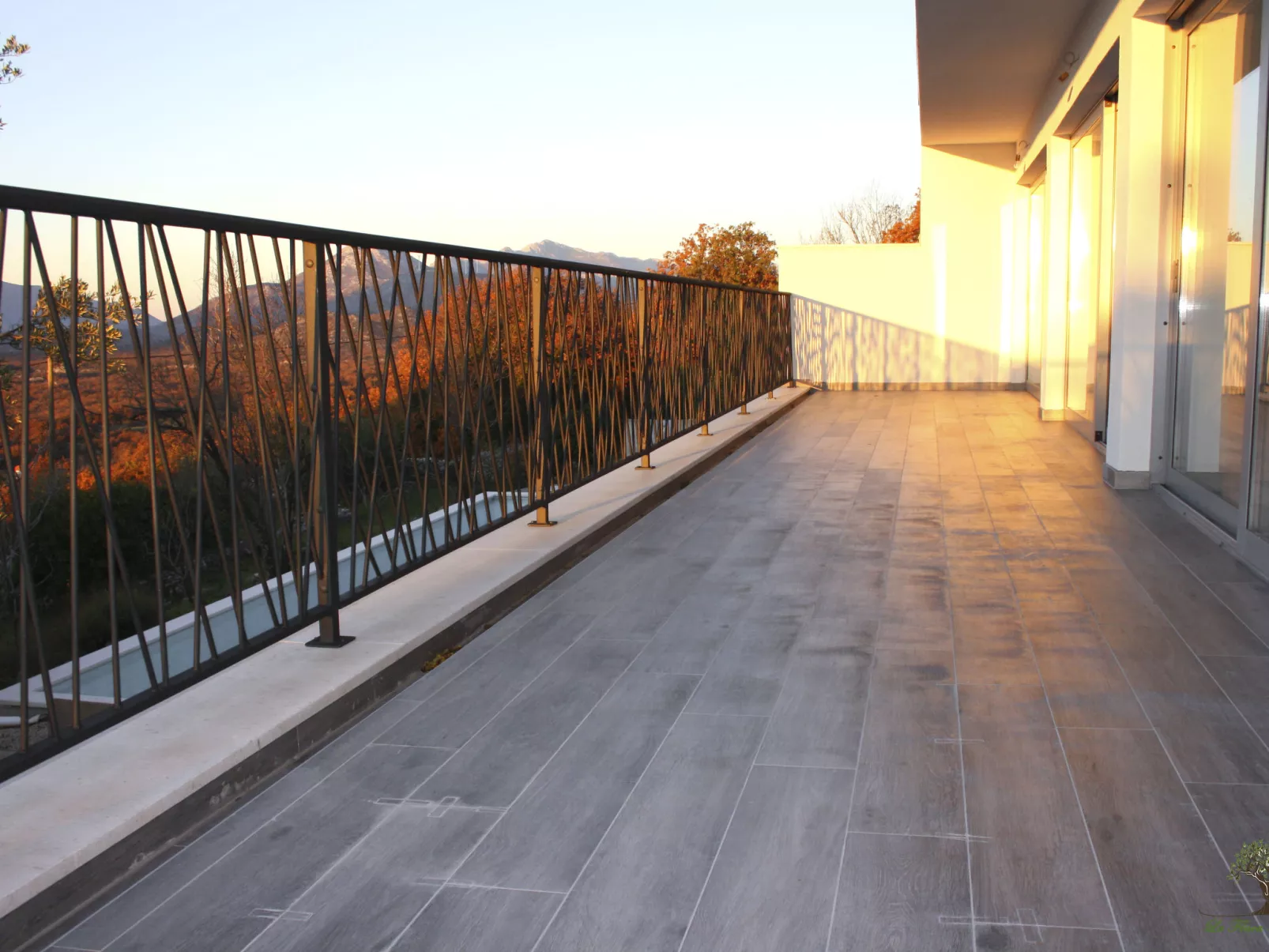 La Finca OliveTree-Outside