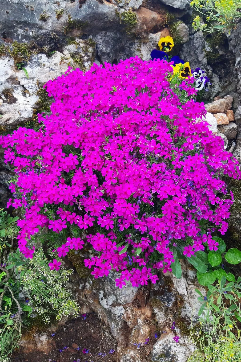 Romantische Villa mit weitläufigem Garten-Outside