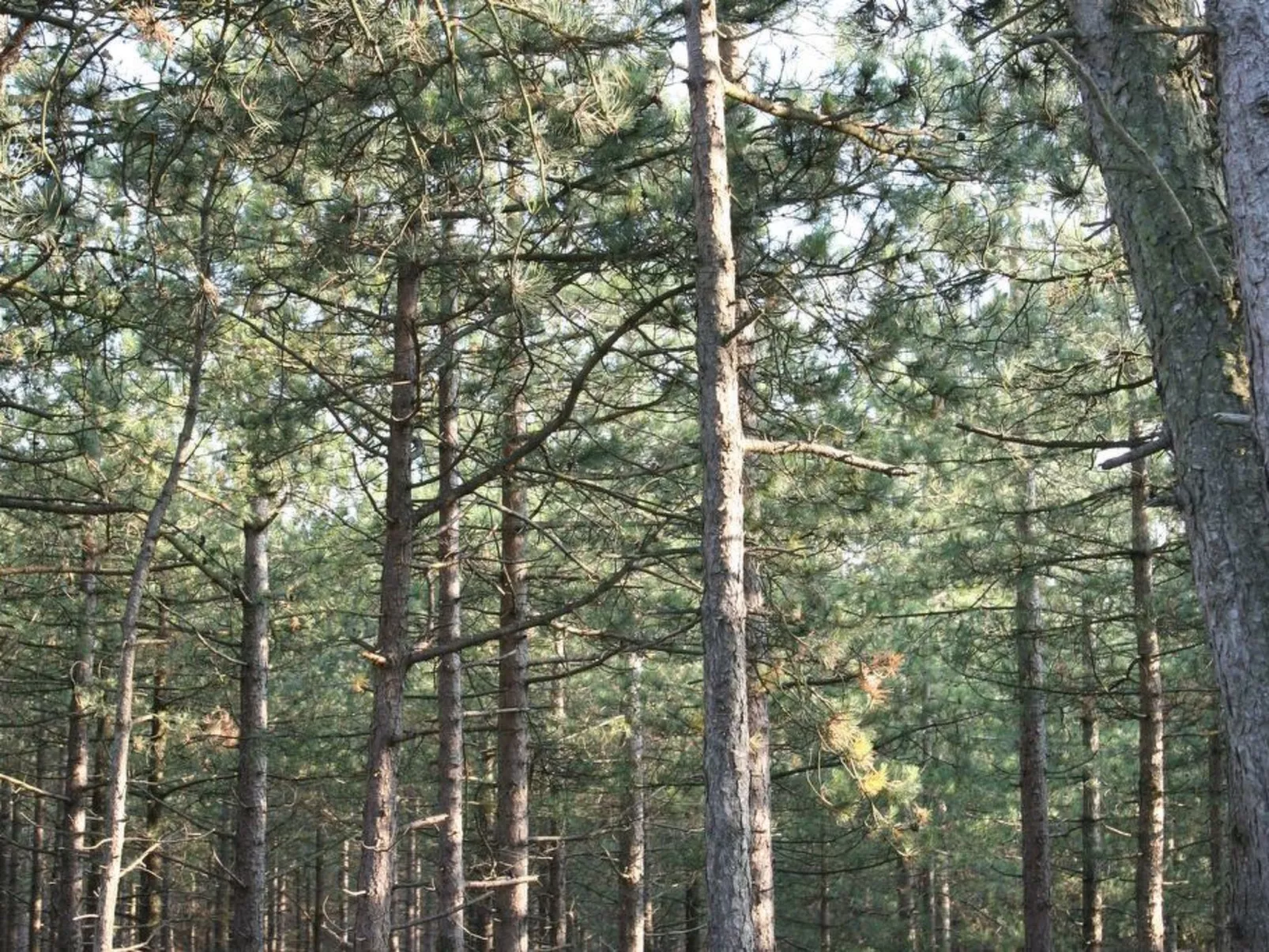 "De Korre 4" mit privatem Garten und Terrasse-Image-tags.info