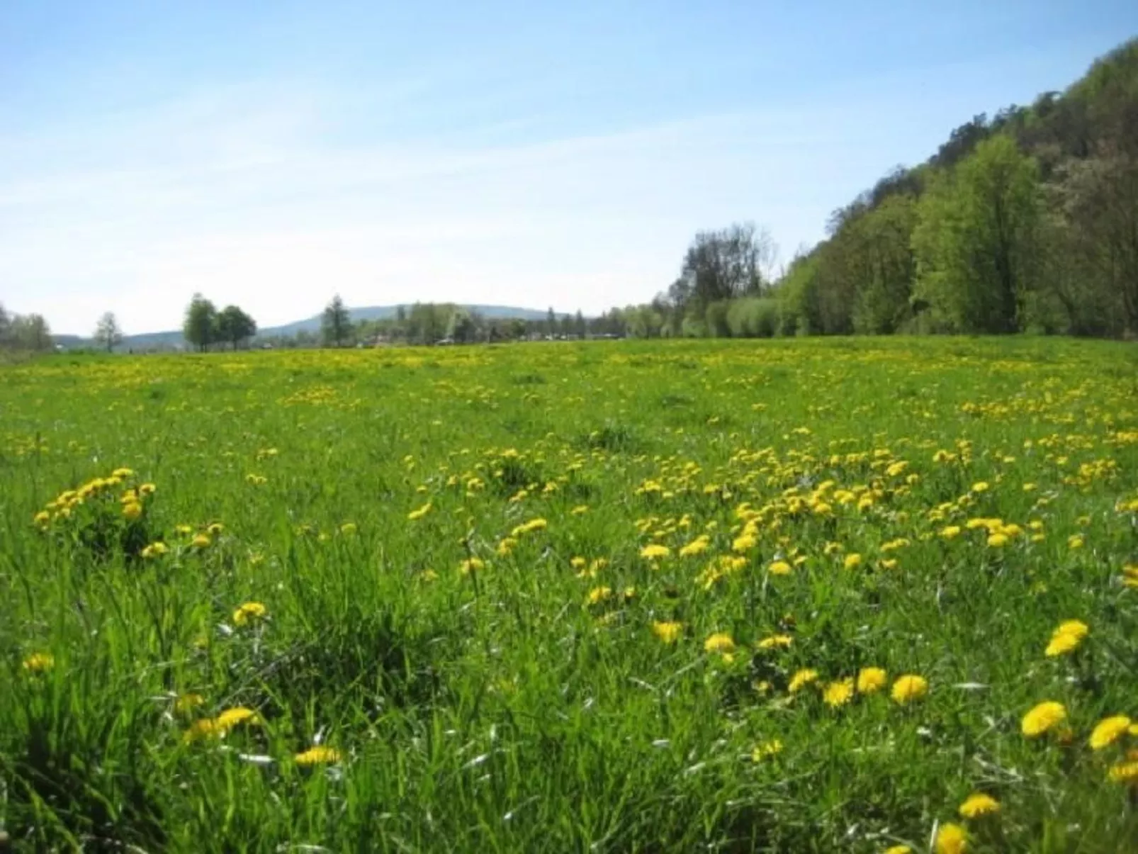 Atrium-Image-tags.info