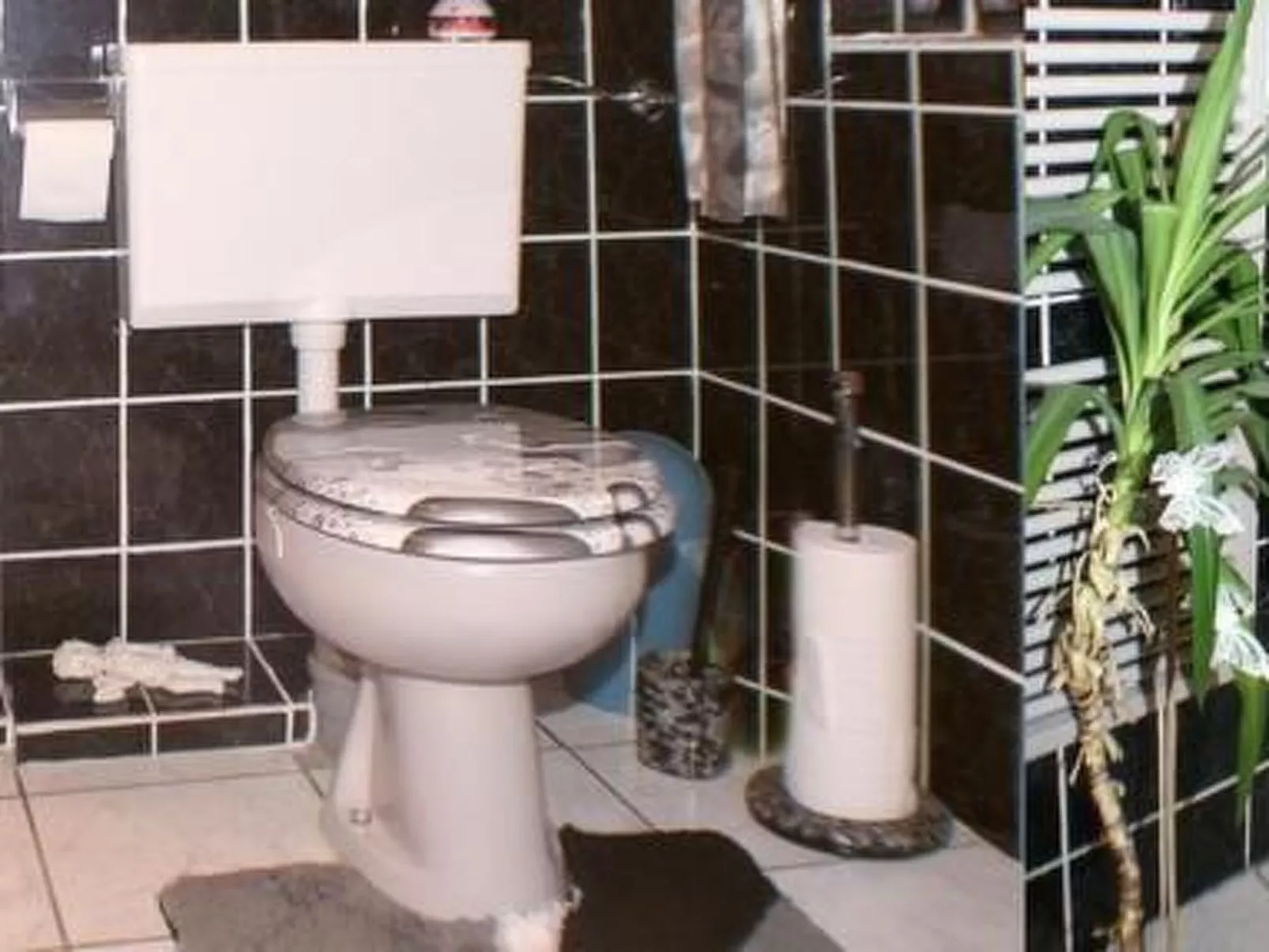 Gemütliche Ferienwohnung im Thüringer Wald-Dedans