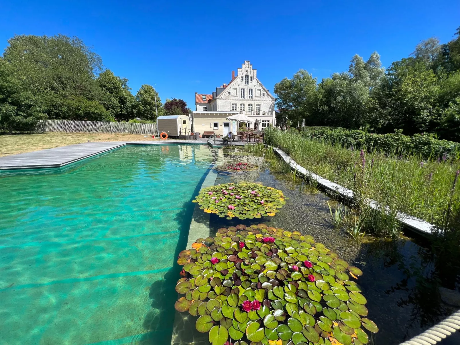 Meera Bio Holzhaus-Draußen
