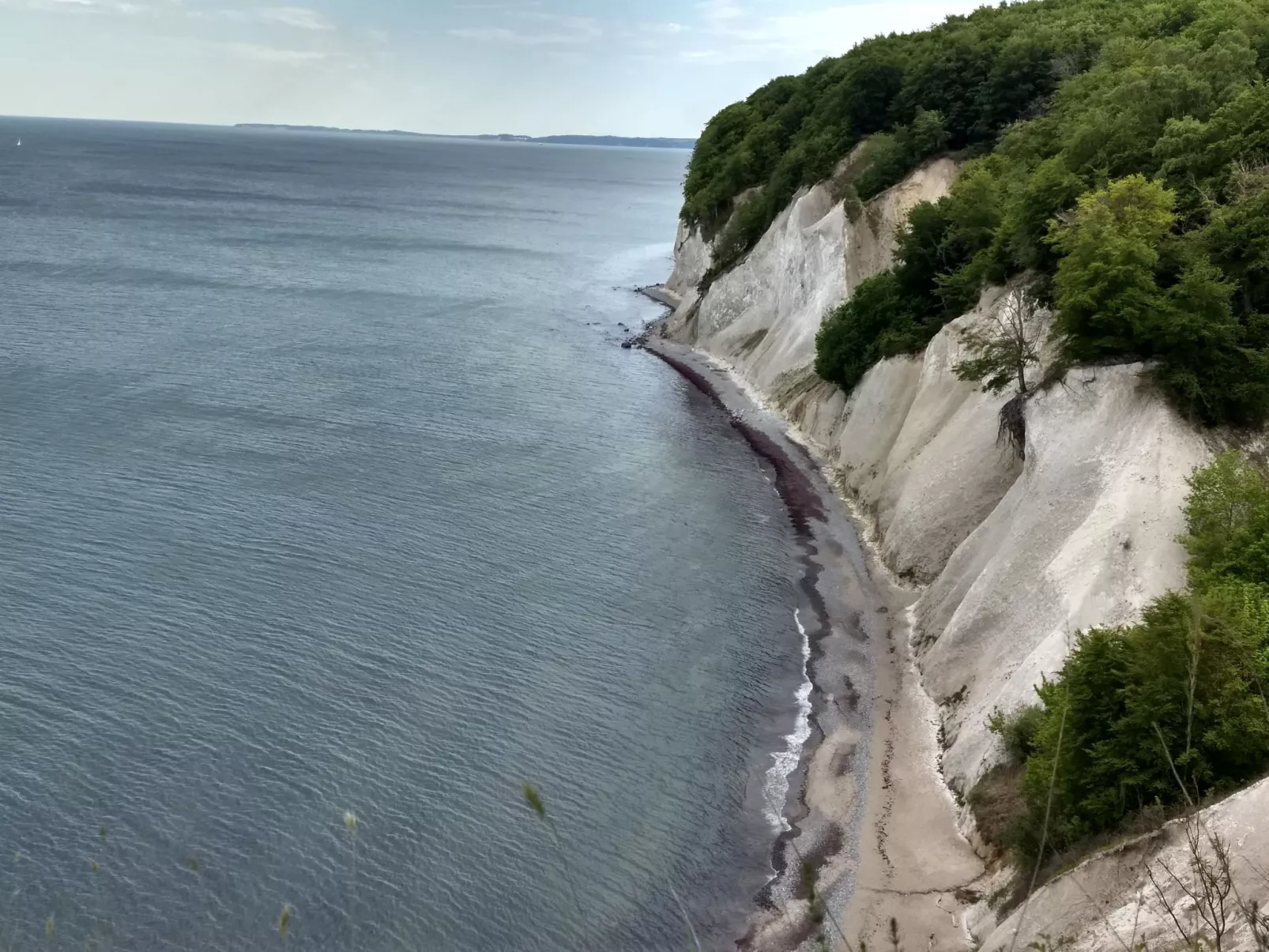 Schwalbennest-Image-tags.info