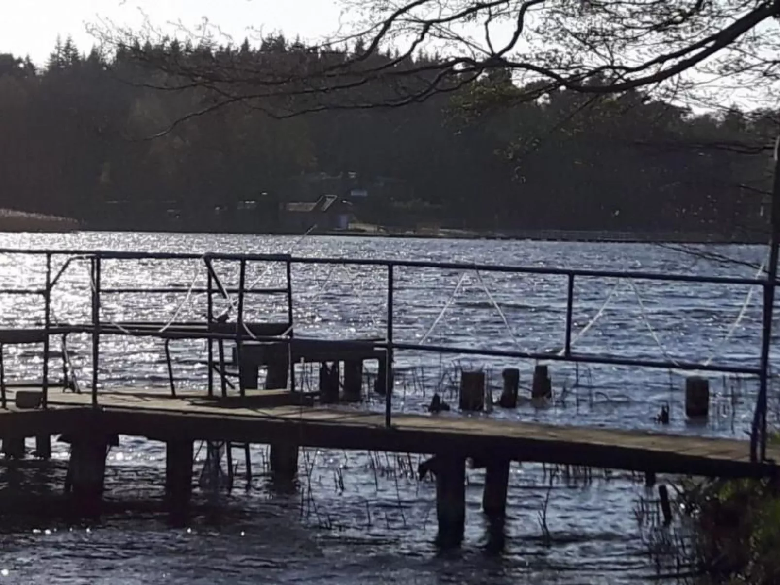 Ferienhaus Claire am Klostersee Urlaub mit Hund-Draußen
