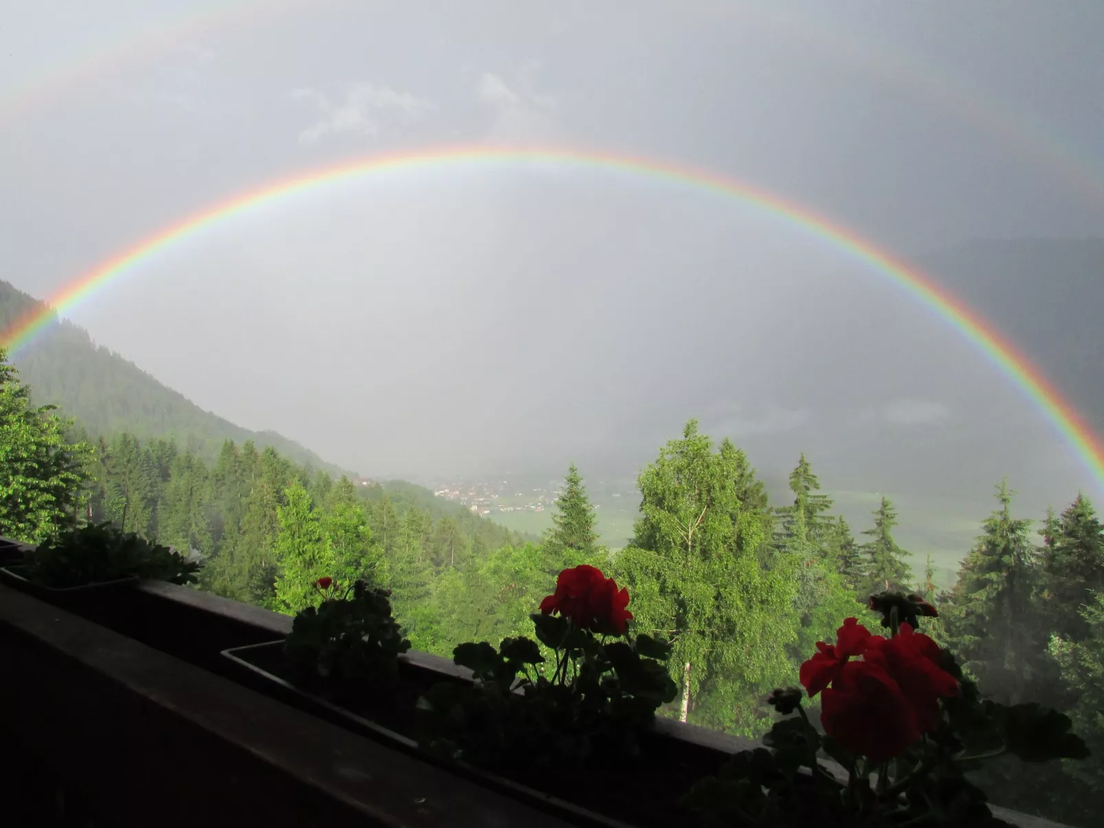 Reißkofel in Steinfeld-Draußen
