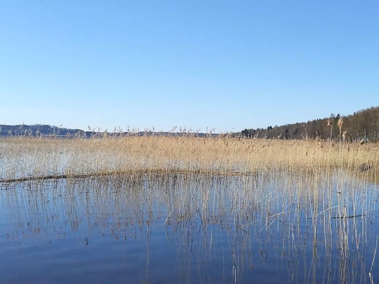 Am See Åsunden mit herrlicher Aussicht-Outside