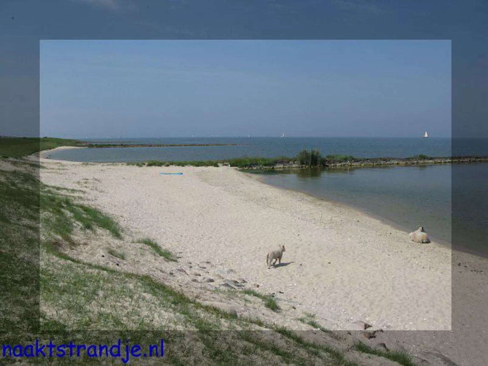 Übernachten im schönen Friesland-Draußen