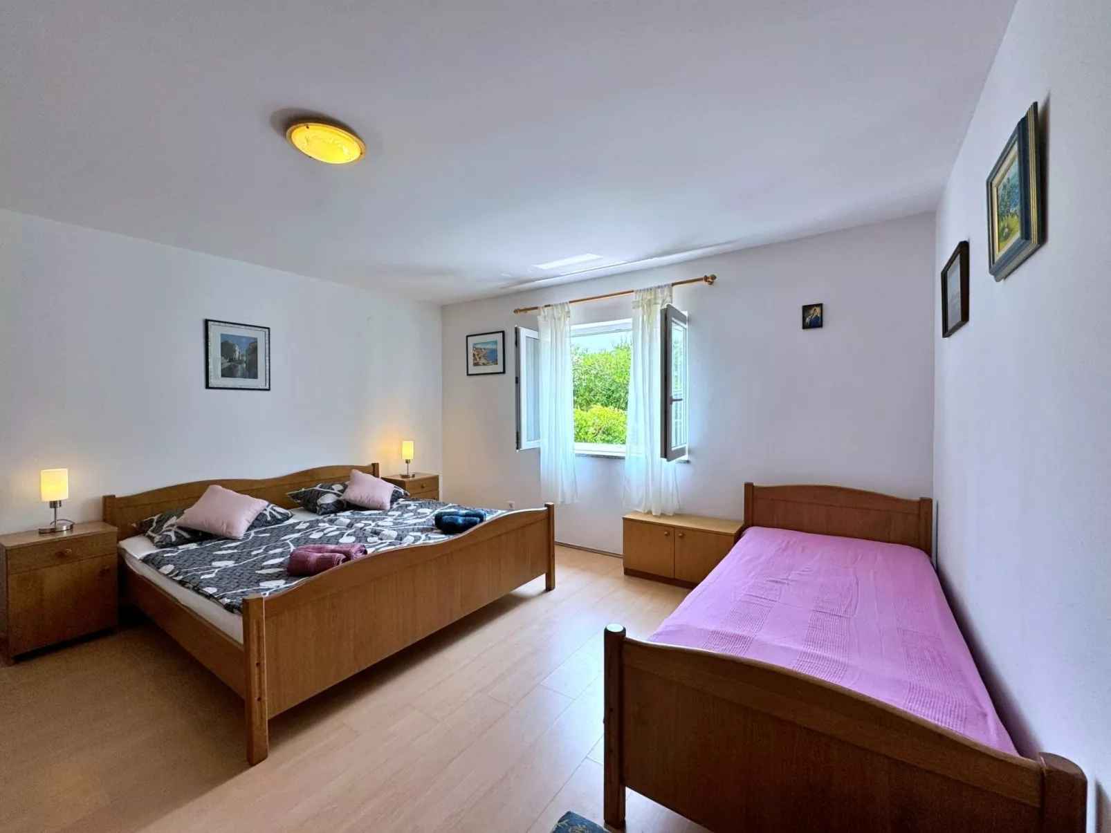 Apartment Zlatica-Drinnen