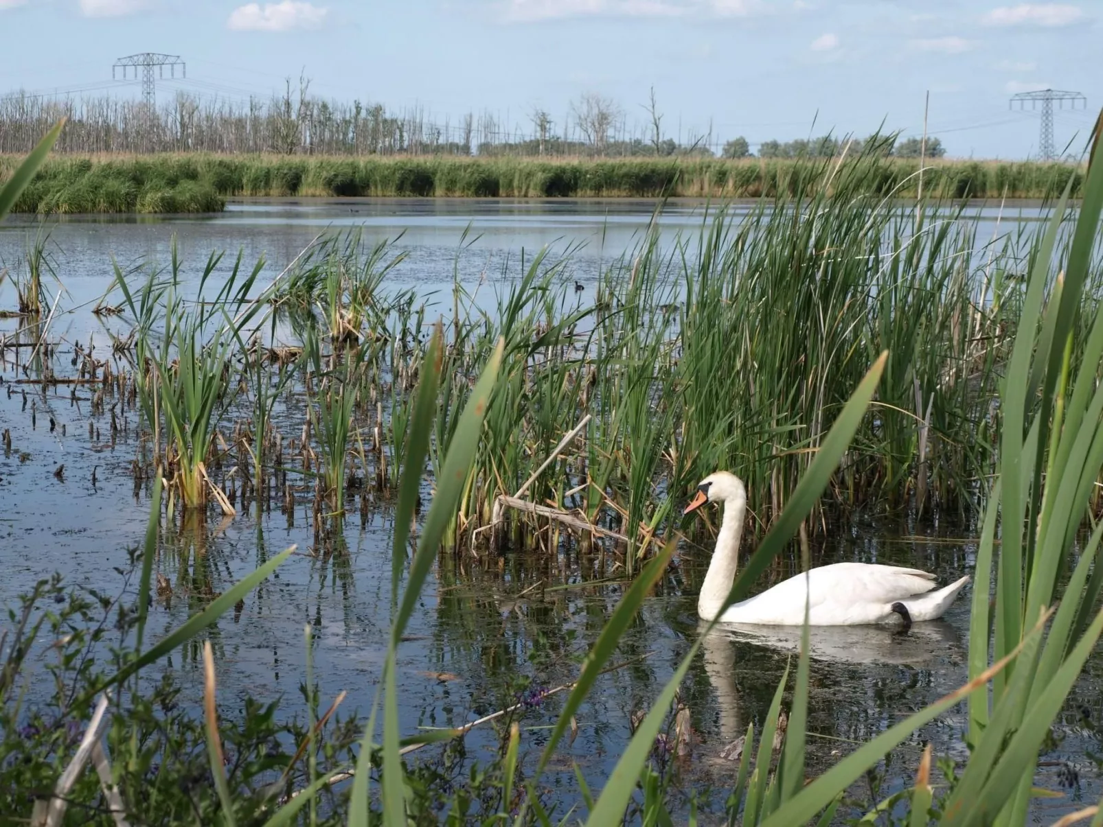 Klosterwald-Draußen