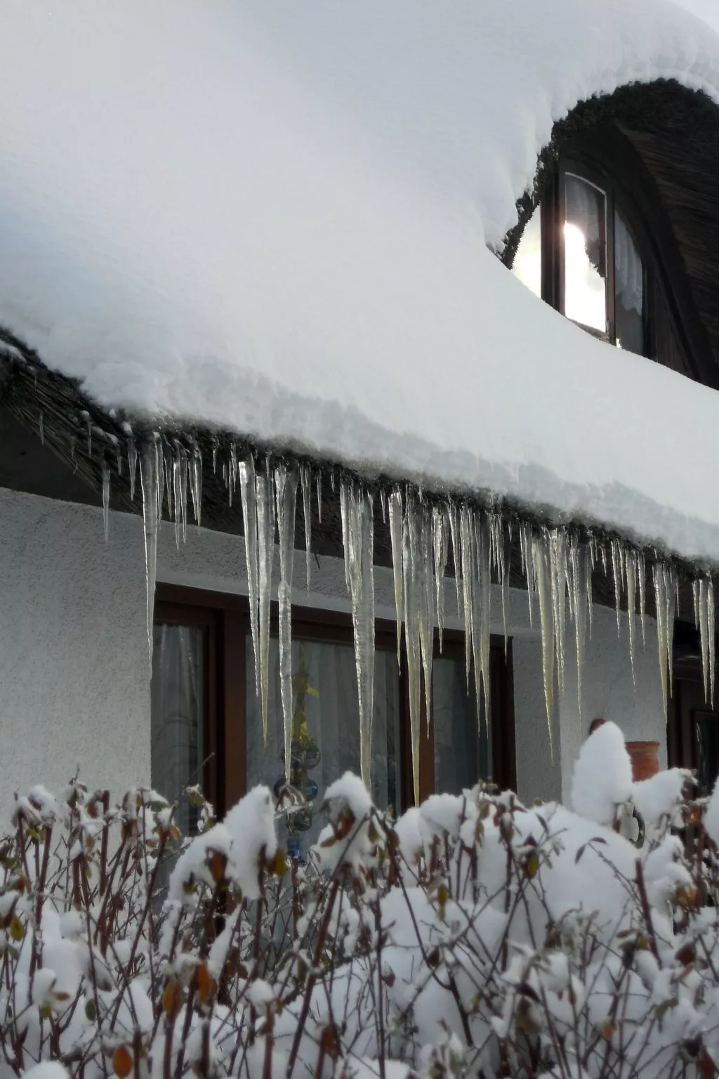 Komfortable Ferienwohnung in Zingst-Image-tags.info