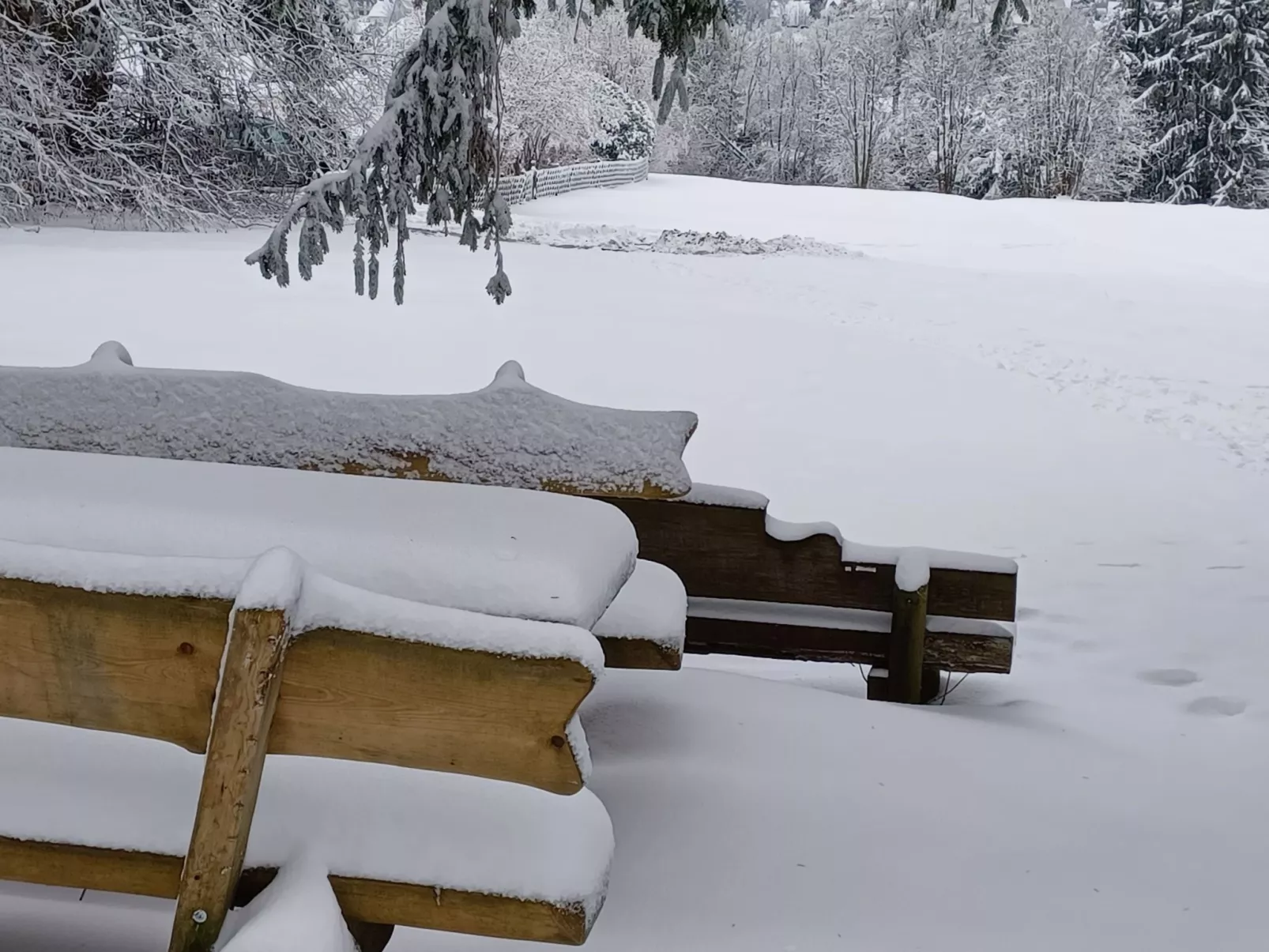 Walli OG Hahnenklee-Outside