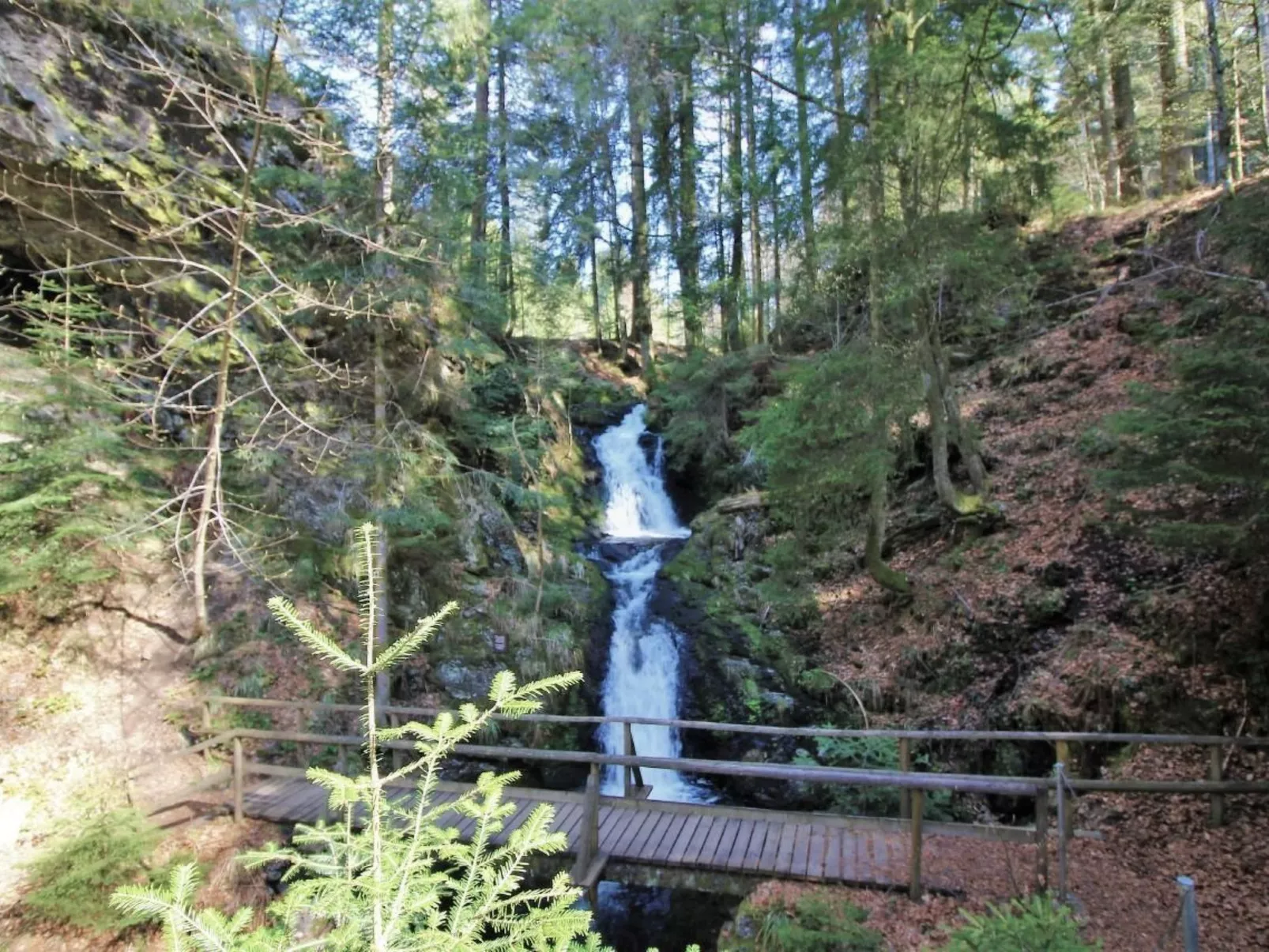 Kuschelnest Oase-Outside