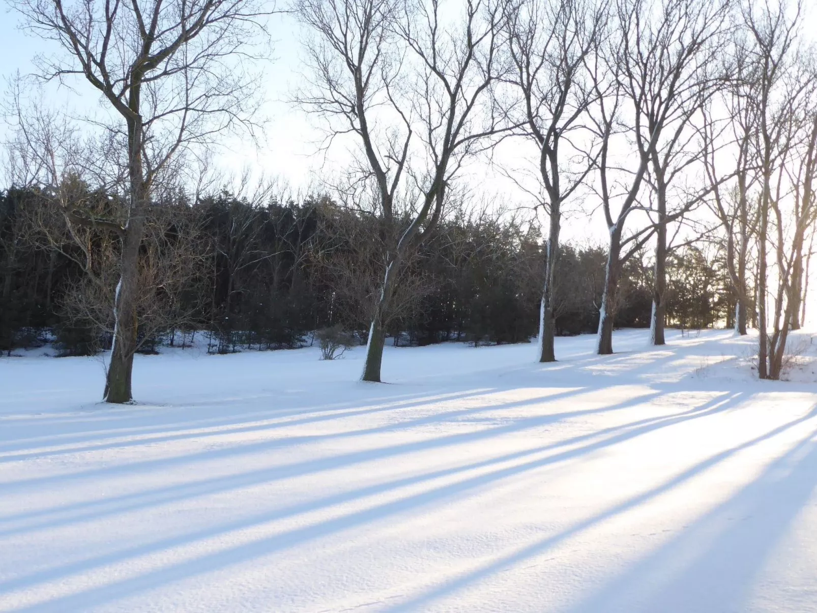 Galerie West-Draußen