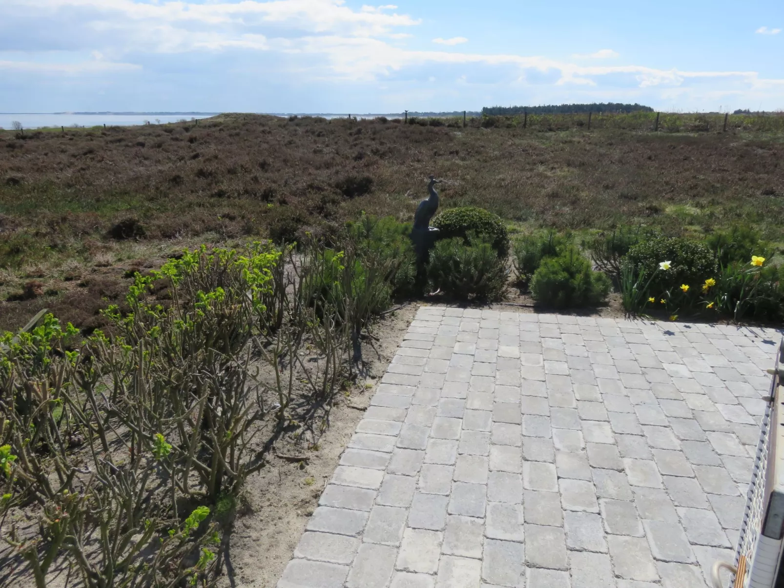 Sönshörn - S16 - in Munkmarsch-Image-tags.info