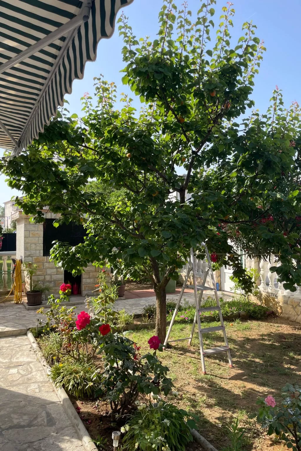 Wohnungen Nada in Sabunike - von TA Leut Agency-Outside