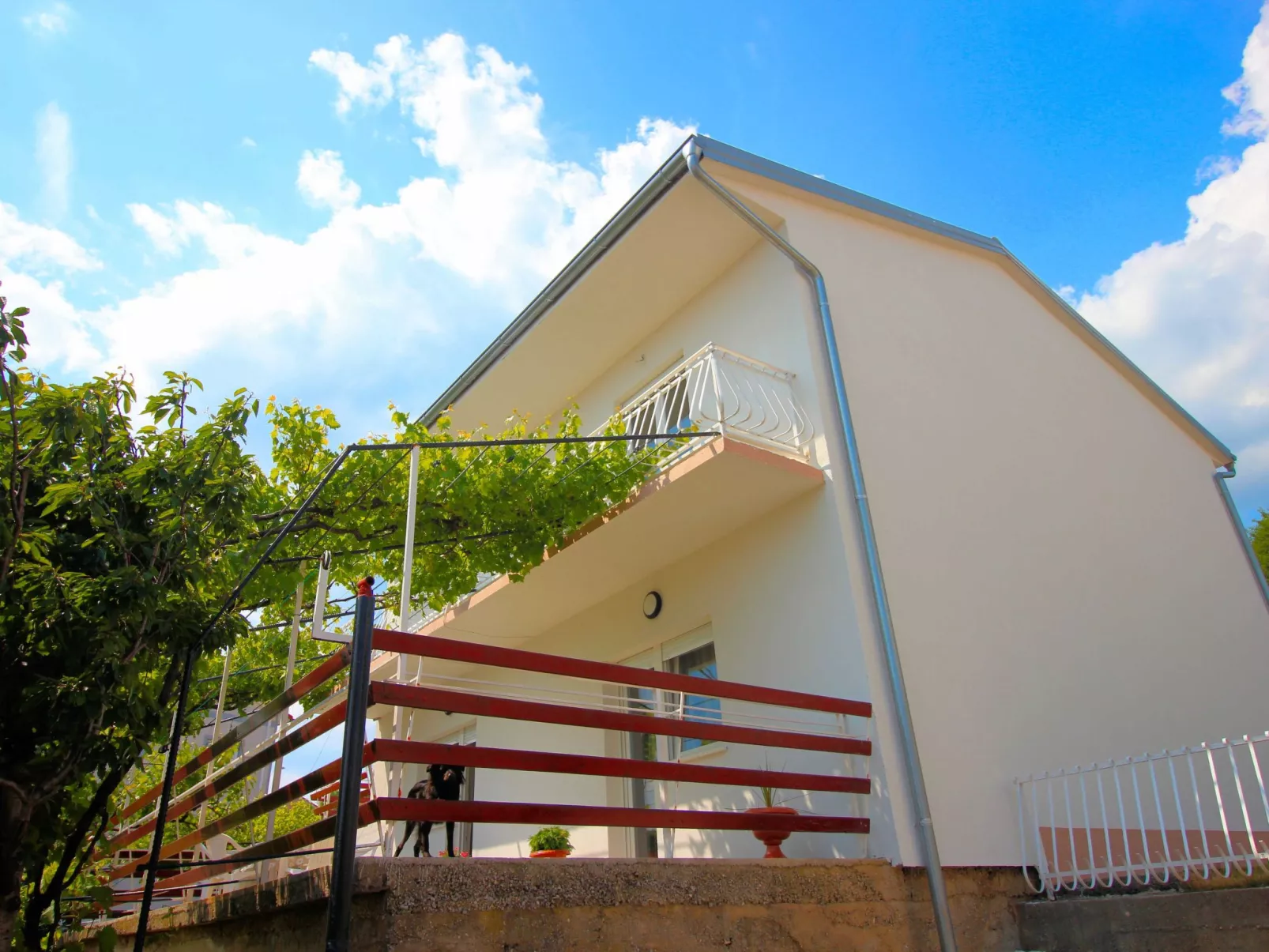 "Mihaljevic Tatjana"-Dehors