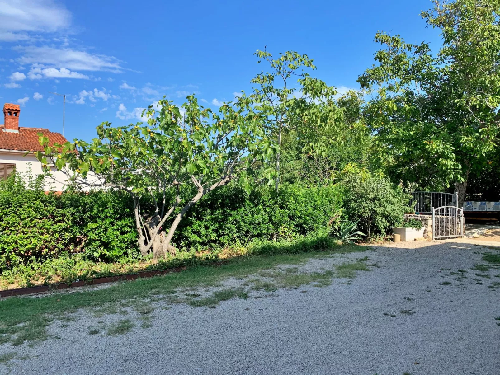 Apartment Gordana-Draußen