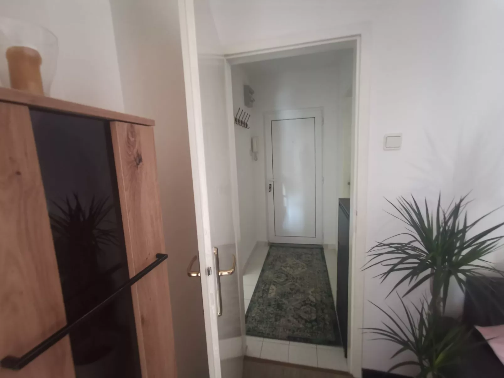 Summer escape Rovinj-Drinnen