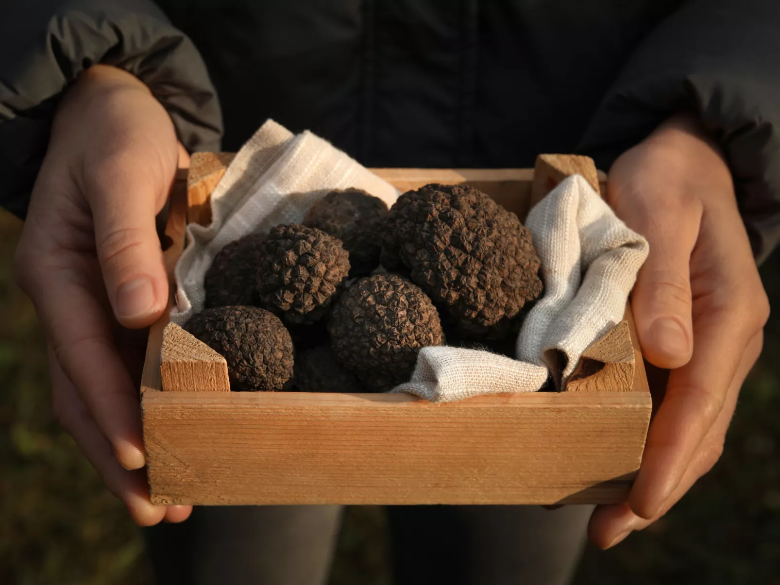 Villa Alte Mühle-Area