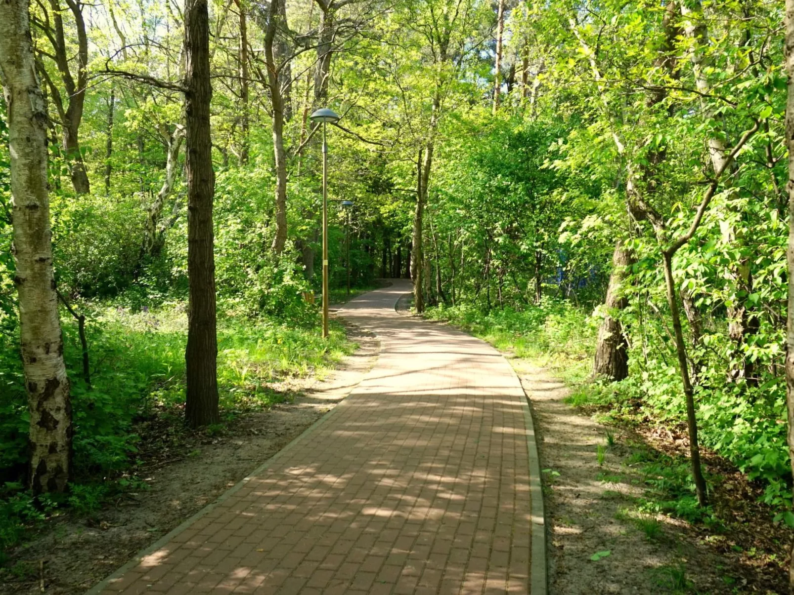 "Paradise Star Bobolin"-Outside