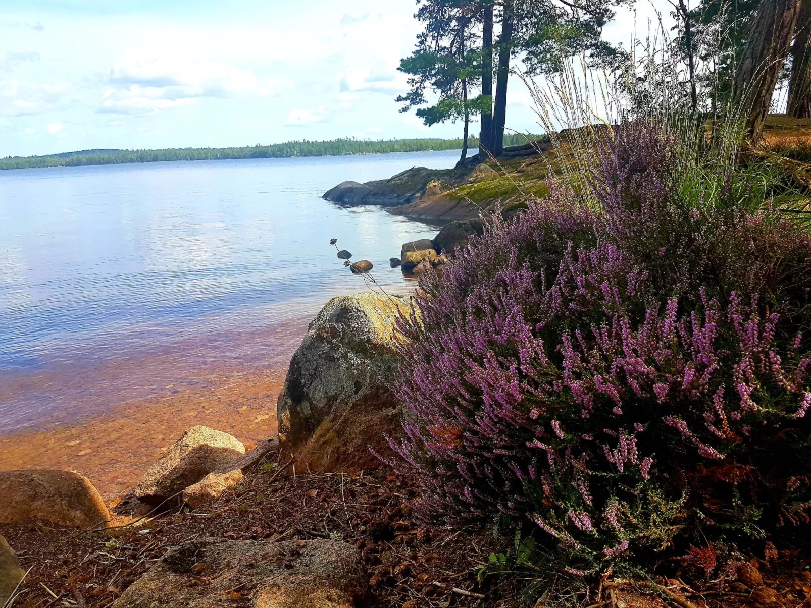 Villa Bullerbü-Draußen