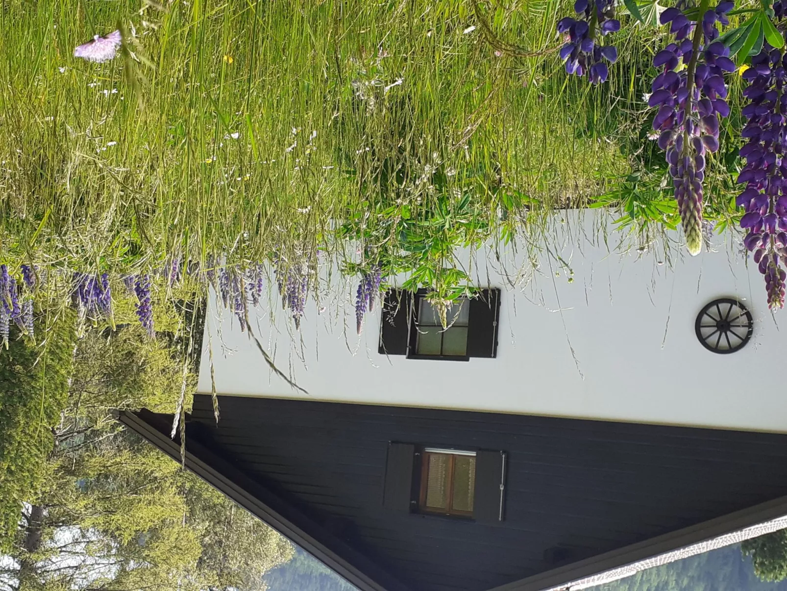 Chalet Wisernock-Outside