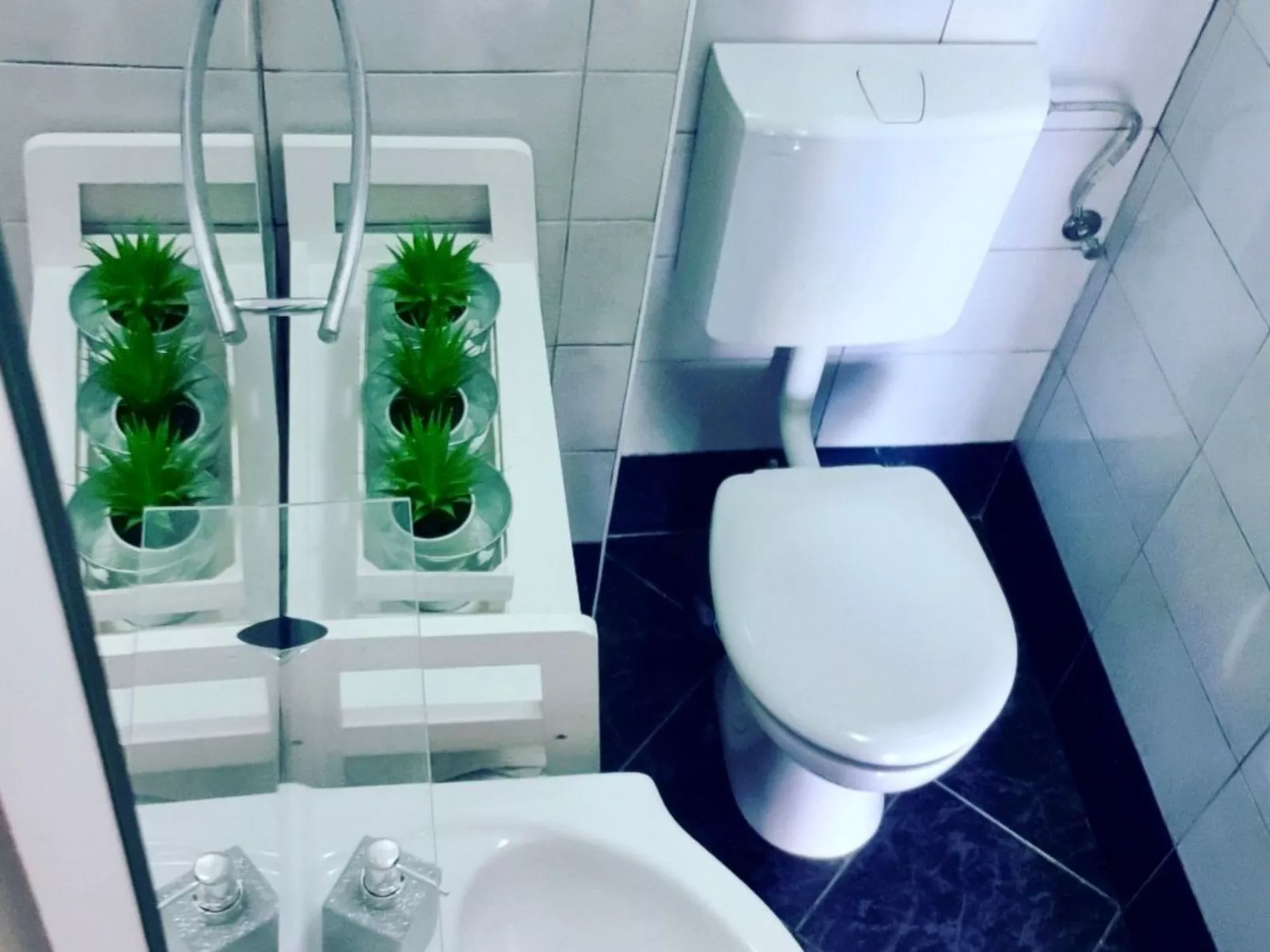 Fabo in Dalmatien-Dedans