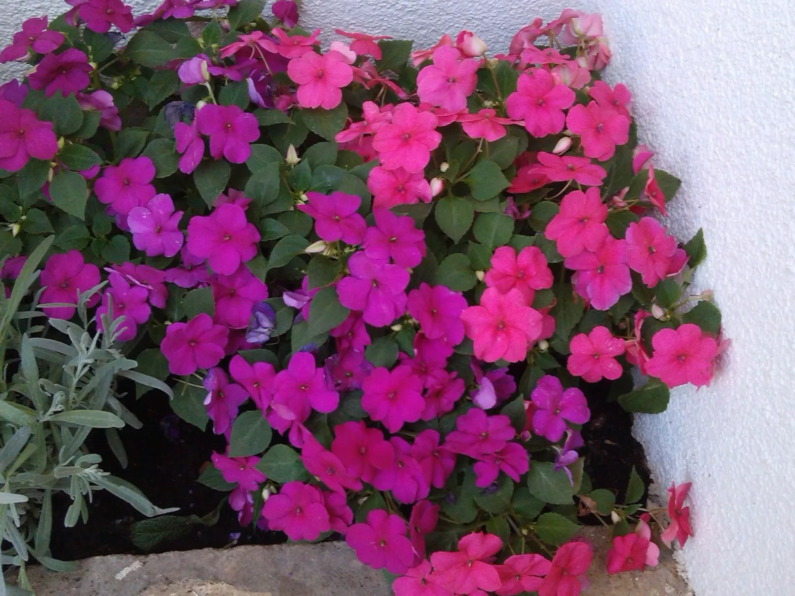 Traumhafte Villa Punta Skala mit 2 Terrassen-Outside