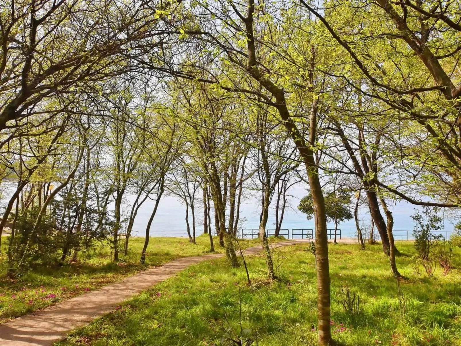 Wohnung "Villa Karmen" direkt am Strand-Image-tags.info