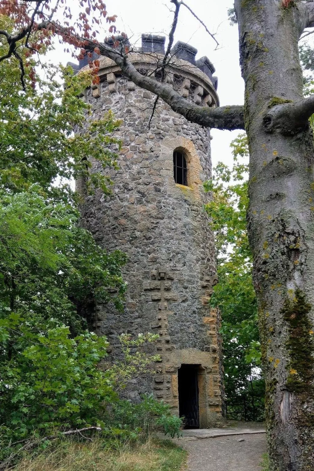In Goslar mit Terrasse und Grill-Draußen
