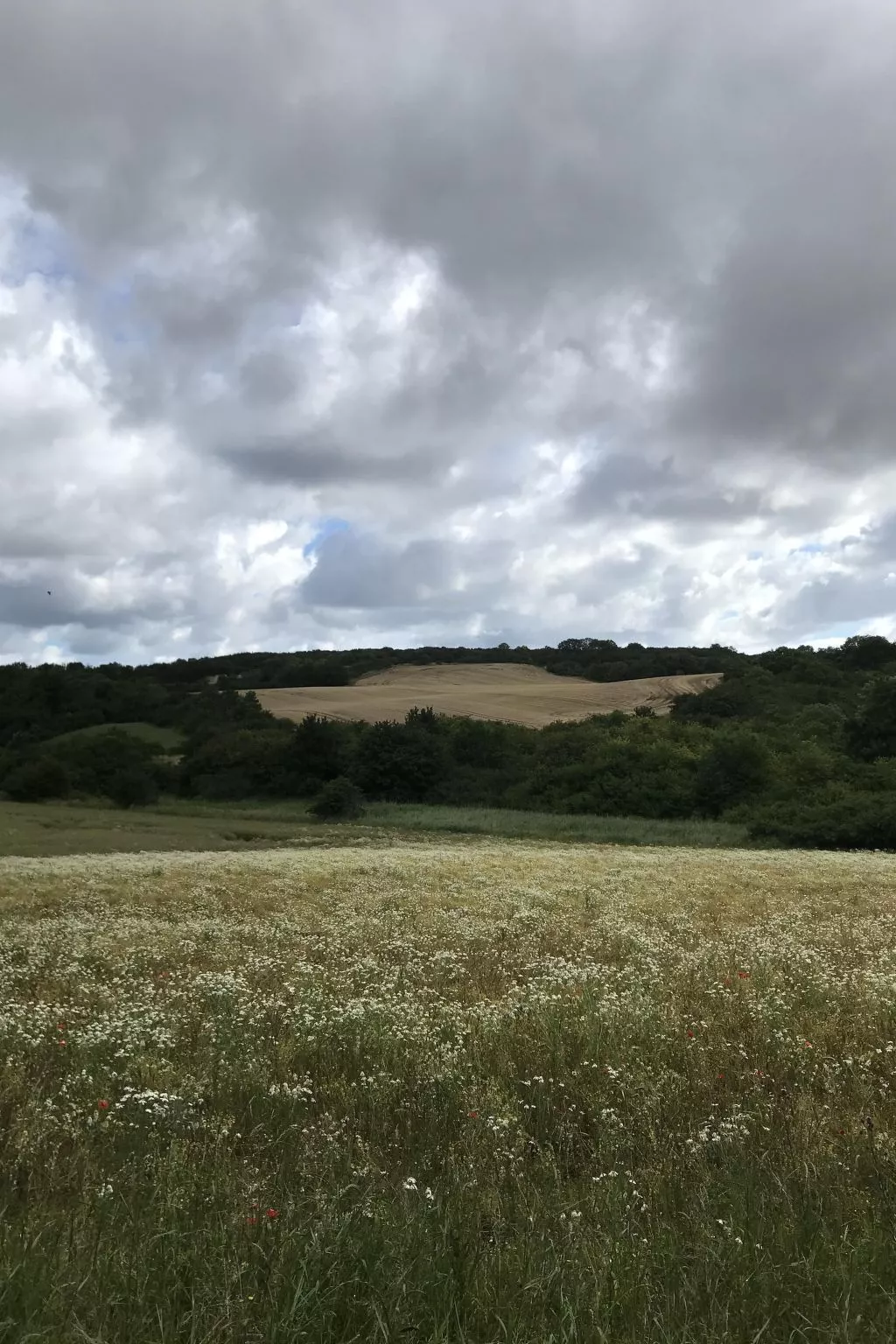 Leuchtturm-Image-tags.info