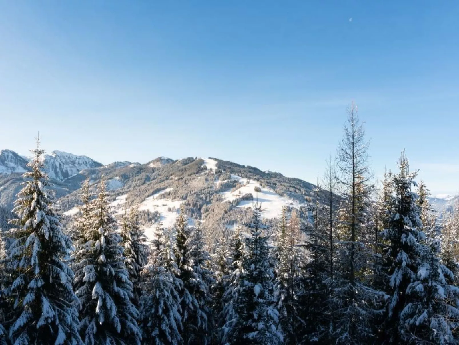 Designferienhaus XXL-Outside