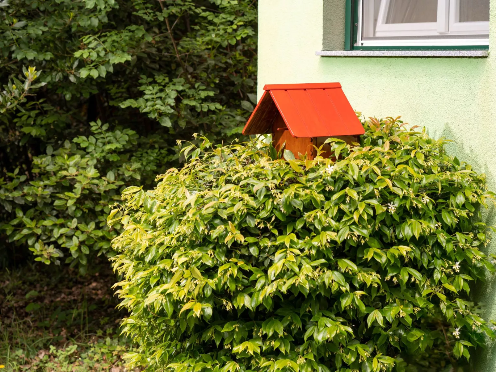 Tiny house Laurel - 70 Meter vom Strand entfernt-Outside