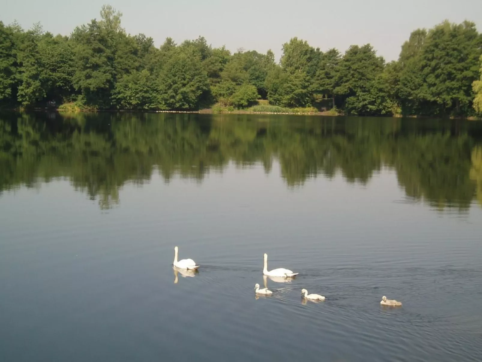 Haus Aschenputtel-Outside