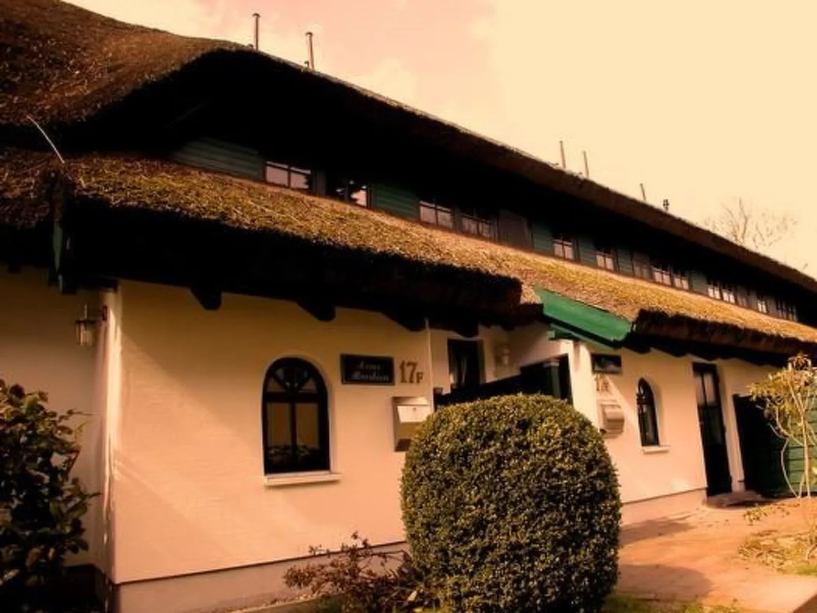 Haus Strandflieder-Dehors