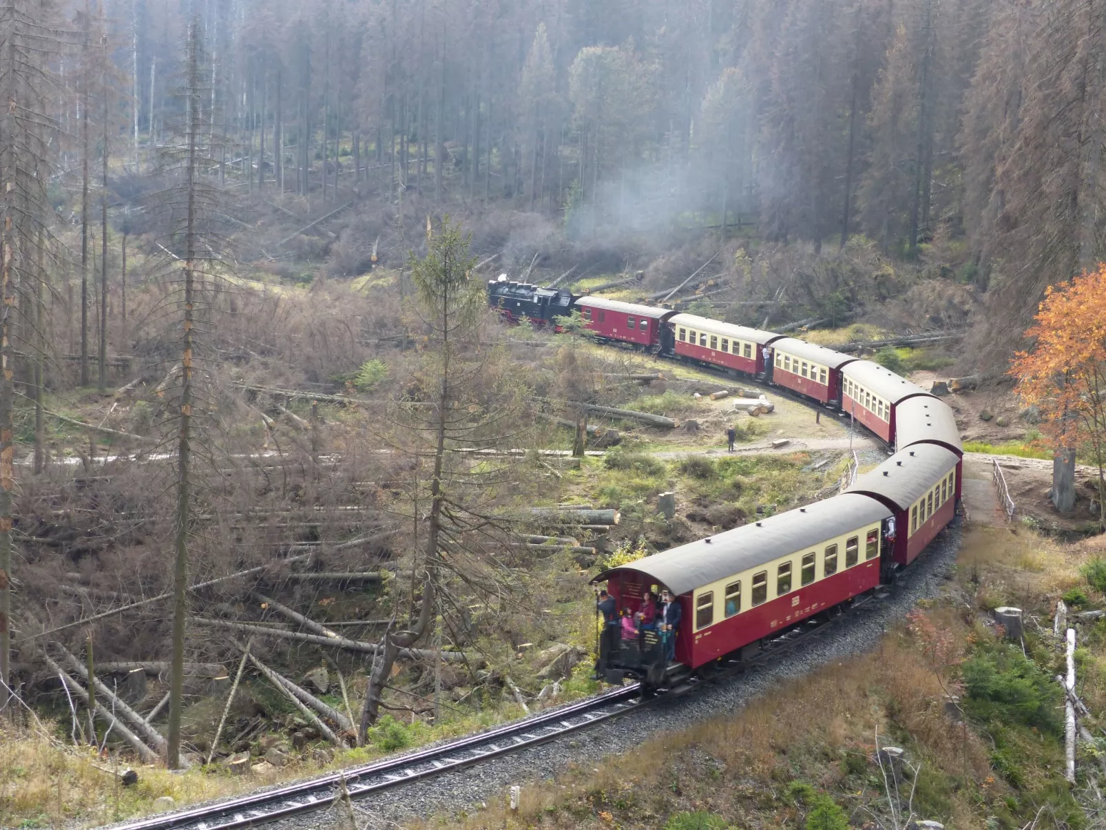 Wohnung in Bad Harzburg mit Garten-Outside