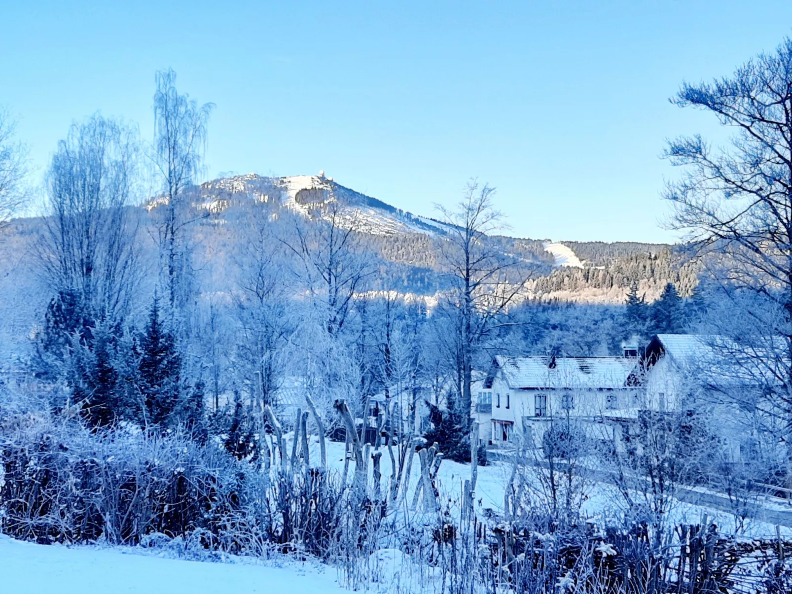 Seitz 2 in Bayerisch Eisenstein-Draußen