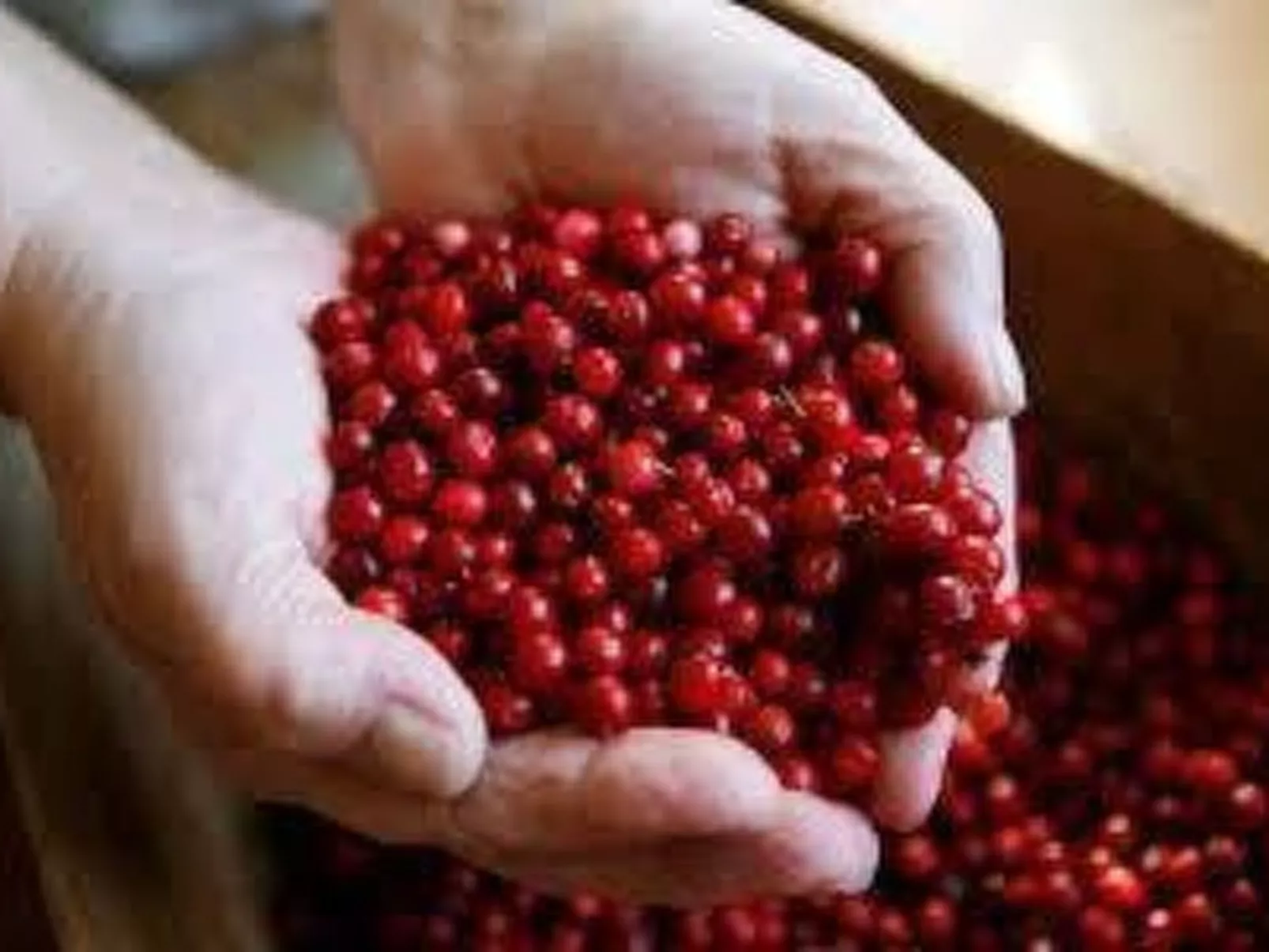 In Drag mit Möblierter Terrasse-Image-tags.info