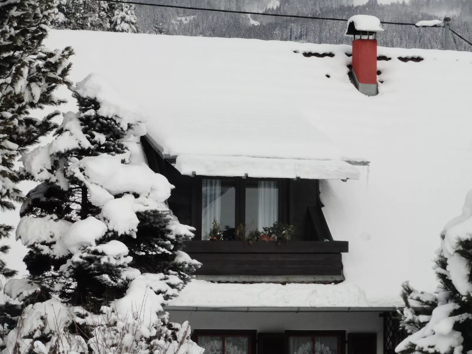 Kleine Wohnung in Seeboden mit Großem Garten - Draußen