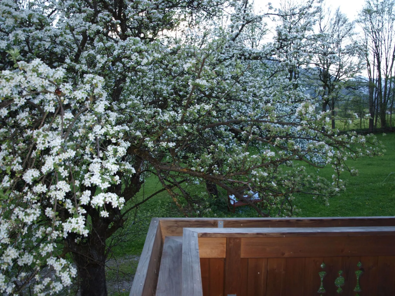 Haus der Natur-Draußen