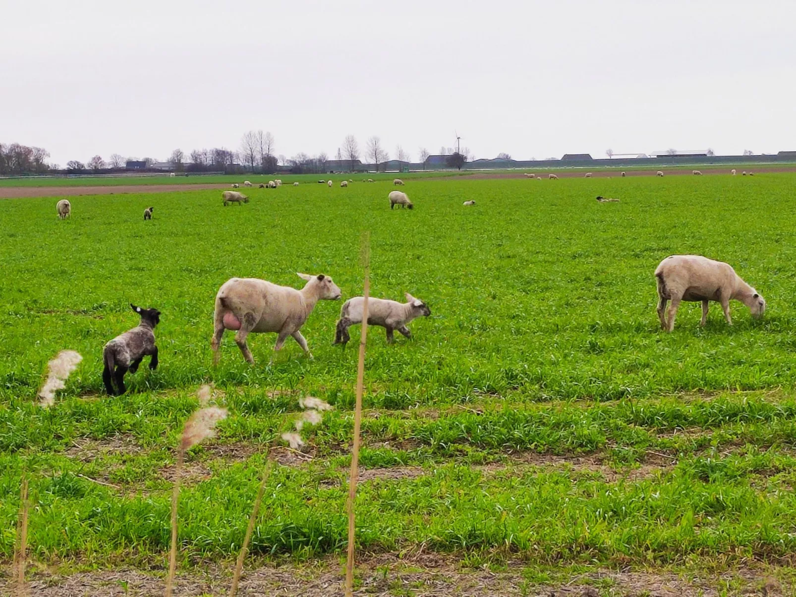 Ankerplatz 54 Grad-Outside
