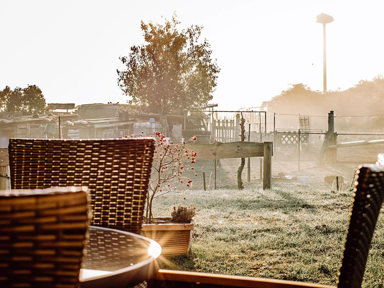 Appartement in Zinnowitz mit Grill-Dehors