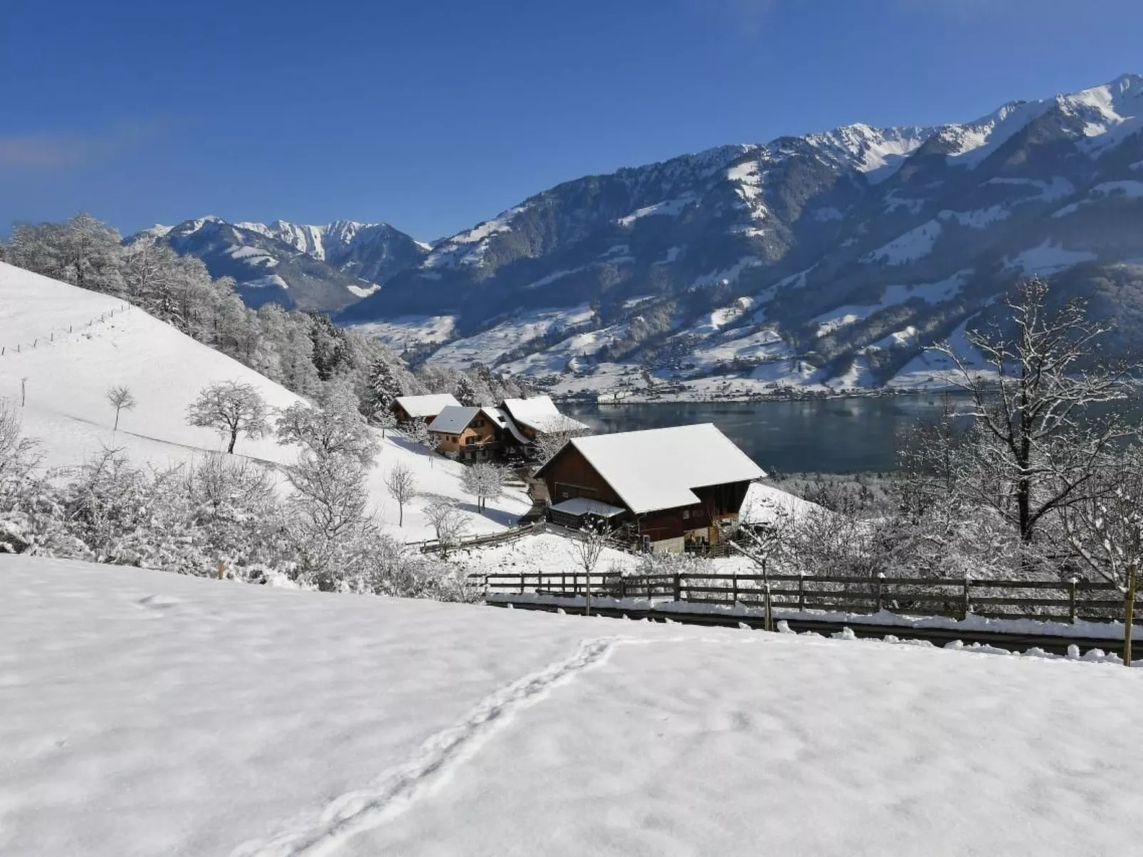 Holzhaus auf Lamahof-Outside