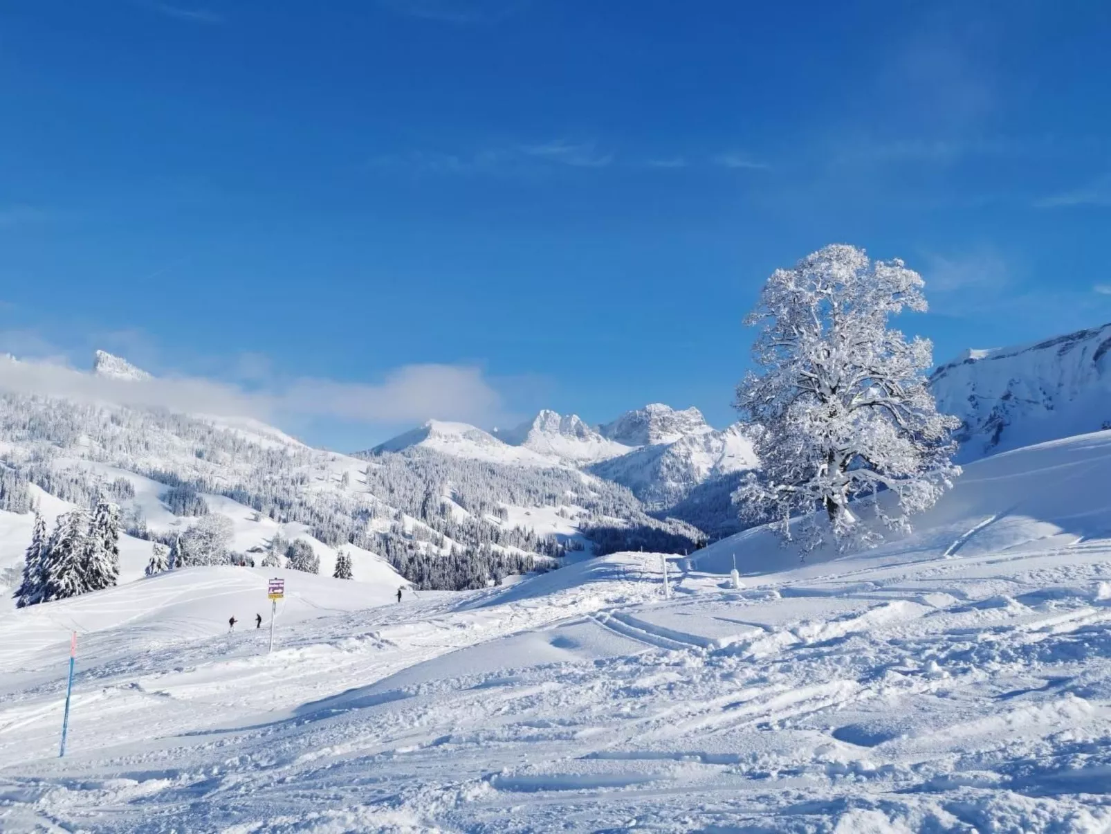 Bella Vista-Image-tags.info