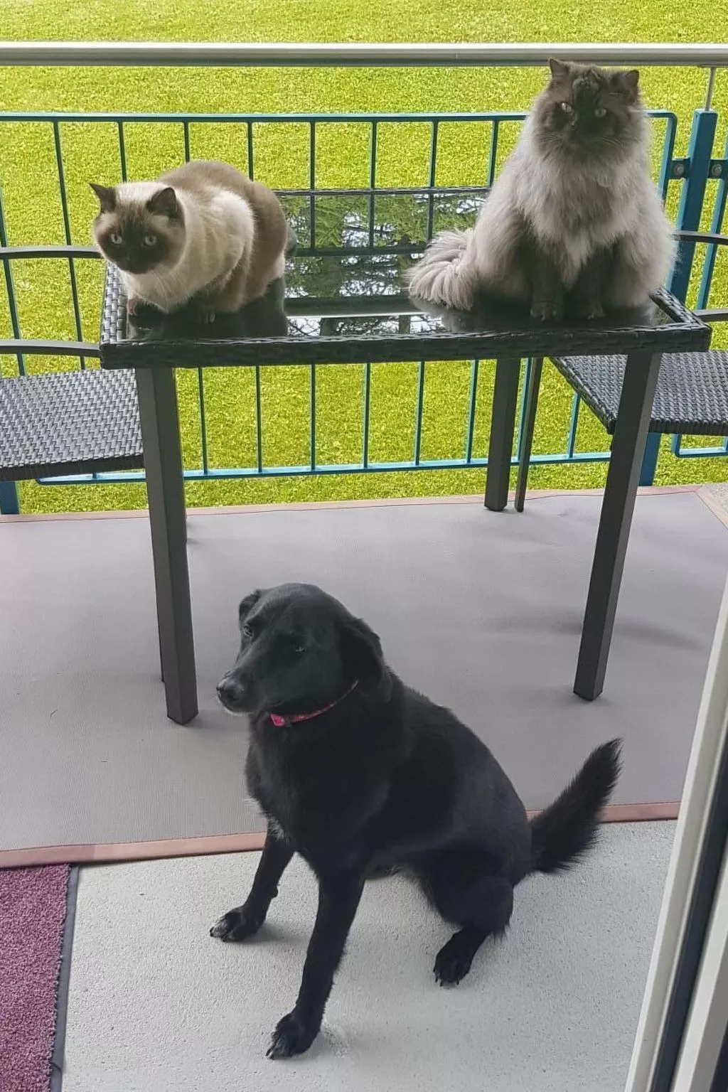 Bergsicht-Image-tags.info