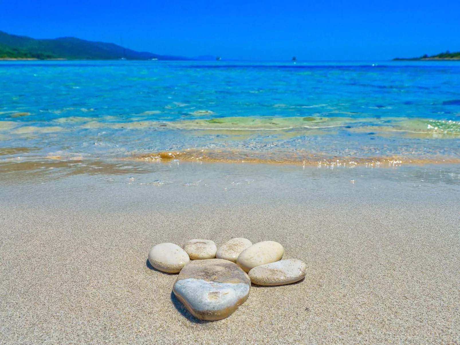 "Sakarun" mit Blick auf das Wasser-Draußen